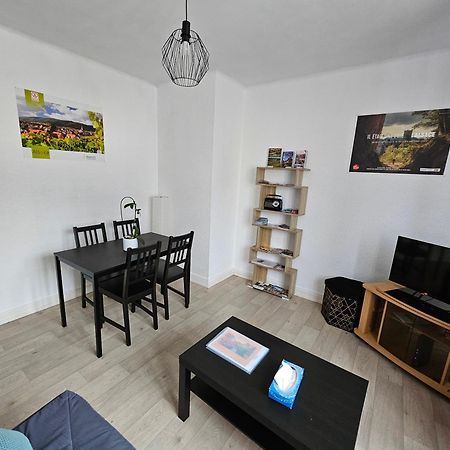 Le Nid Des Cigognes A Colmar Centre, Proche Gare, Marches De Noel Apartment Bagian luar foto