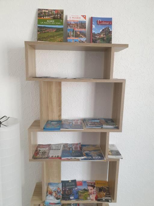 Le Nid Des Cigognes A Colmar Centre, Proche Gare, Marches De Noel Apartment Bagian luar foto