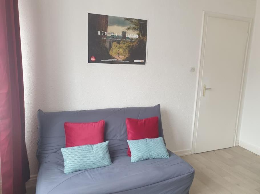 Le Nid Des Cigognes A Colmar Centre, Proche Gare, Marches De Noel Apartment Bagian luar foto