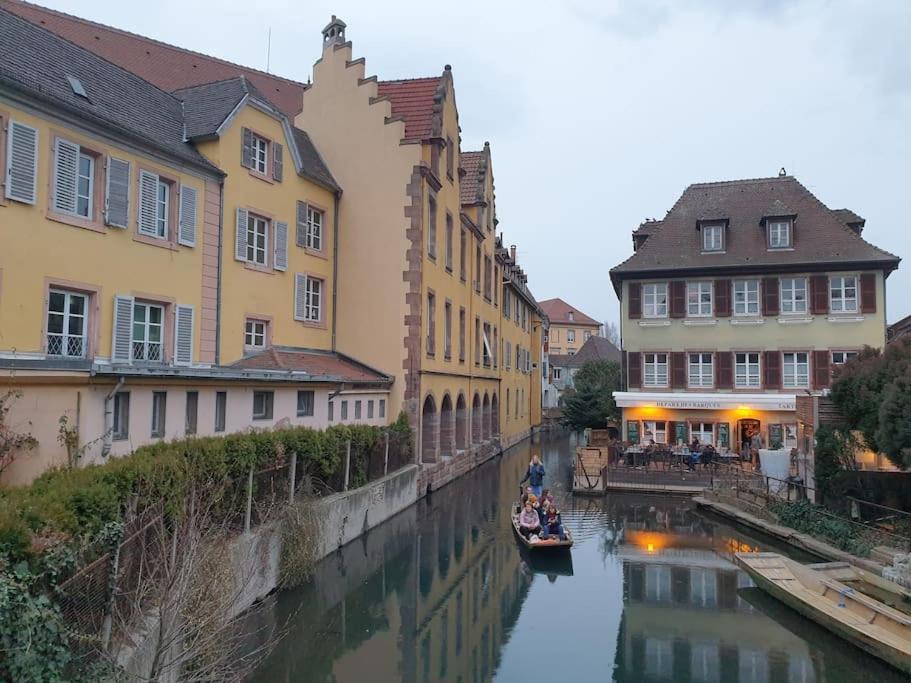 Le Nid Des Cigognes A Colmar Centre, Proche Gare, Marches De Noel Apartment Bagian luar foto