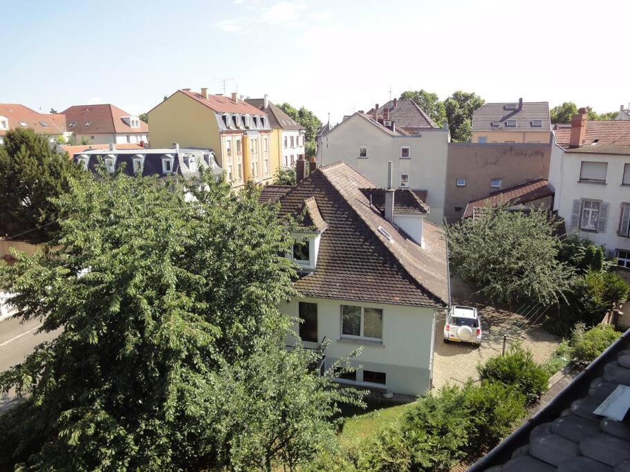 Le Nid Des Cigognes A Colmar Centre, Proche Gare, Marches De Noel Apartment Bagian luar foto